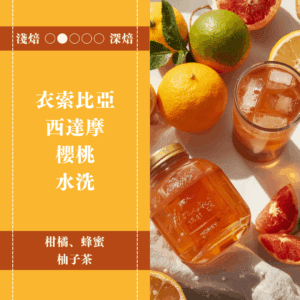 衣索比亞。西達摩。櫻桃。水洗