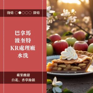 巴拿馬。波奎特。KR處理廠。水洗