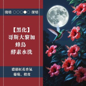【黑化】哥斯大黎加。蜂鳥。酵素水洗