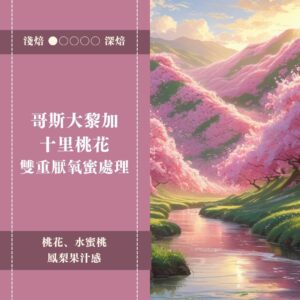 哥斯大黎加。十里桃花。雙重厭氧蜜處理